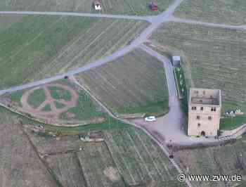 Ukraine-Krieg: Peace-Zeichen von Weingut Zimmer aus Kernen soll blau-gelb blühen - Zeitungsverlag Waiblingen