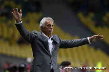 Nordin Amrabat maakt gehakt van Marokkaanse bondscoach: &quot;90 procent van de Marokkanen denkt er zo over&quot;