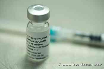 WHO puts hold on made-in-Canada COVID-19 vaccine - The Brandon Sun