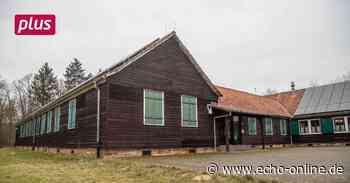 Ukraine-Flüchtlinge leben sich schnell in Lampertheim ein - Echo Online