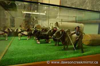 What to do with Nearhood collection? - Dawson Creek Mirror