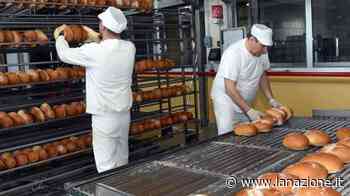 Caro energia: 250 panifici a rischio tra Prato e Pistoia - LA NAZIONE