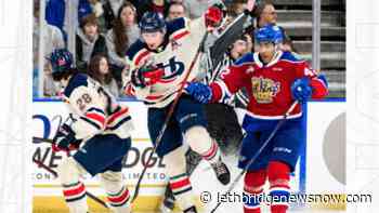 Canes fall 5-2 to Edmonton at home - Lethbridge News Now