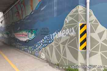 What happened to the mural under the overpass in Squamish? - Squamish Chief