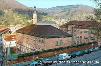 Land versus Heidelberg: Fauler Pelz: Jetzt droht ein Rechtsstreit - Stuttgarter Nachrichten
