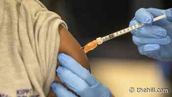 5 things to know about coronavirus vaccines for young children | TheHill - The Hill