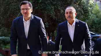 Ukraine: Neue Verhandlungsrunde ab morgen in der Türkei