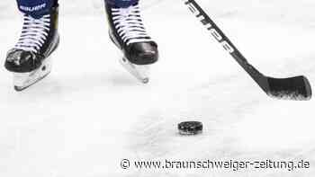 Wild Wings vor Klassenerhalt - Grizzlys in Champions League