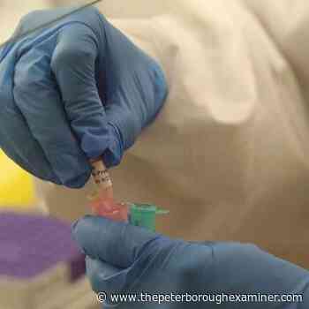 MAP: Tracking confirmed cases of coronavirus in Oakville and Burlington along with Milton and Halton Hills - The Peterborough Examiner