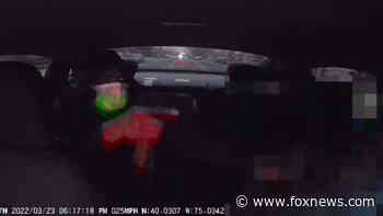 Philadelphia taxi driver pistol-whipping, carjacking caught on dashcam video, police say