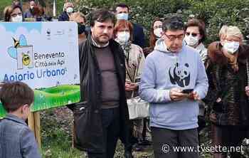 BENEVENTO CITTÀ DELLE API, INAUGURATO L'APIARIO URBANO. FOTO - TV Sette Benevento