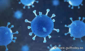 Was Coronavirus Act right answer to the pandemic? - Gulf Today