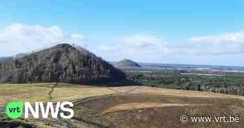 In natuurgebied Klaverberg in Genk zijn vanaf nu bijna alle vormen van recreatie mogelijk maar met respect voor de natuur - VRT NWS