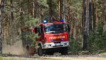 Landkreis Augsburg: Waldbrandgefahr im Kreis Augsburg: Das weiß doch jedes Kind - oder? | Augsburger Allgemeine - Augsburger Allgemeine