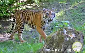 Zoo Augsburg aktuell | Auf in ein tierisches Frühjahr | Presse Augsburg - Presse Augsburg