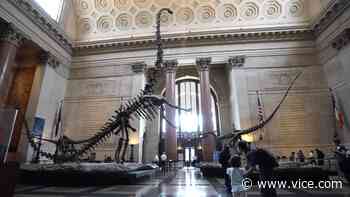 Why 200 Workers At The American Museum Of Natural History Are Voting On Unionization