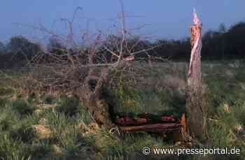 POL-PPKO: Mysteriöser Blitzeinschlag in KO-Kesselheim, zur Bergpflege