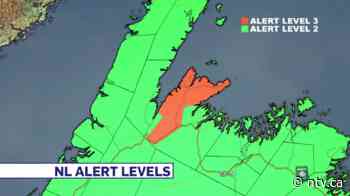 Province reports 16 new cases of COVID-19, Baie Verte peninsula moving to Alert Level 3 - NTV News