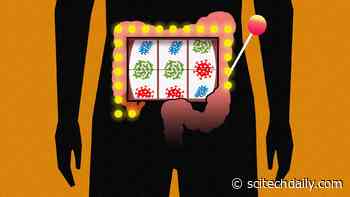 Your Gut Microbiome Shapes Your Life. But Where Did It Come From?