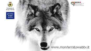 Acqui Terme - Giorno del Ricordo: presentazione del libro "Sono scesi i lupi dai monti" - Un esule istriano racconta la sua storia - Monferrato Web TV