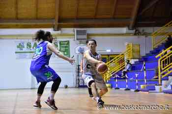 Vigor Matelica, recupero da non sottovalutare contro Falconara - Serie C Gold Girone Unico - Basketmarche.it