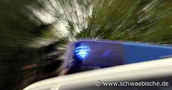 Lindau: Polizei beeendet Party auf der Galgeninsel - Schwäbische