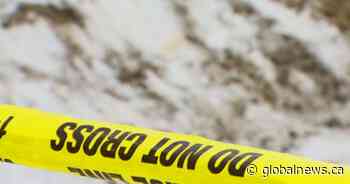 RCMP investigating discovery of critically injured man in Red Deer County ditch