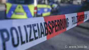 Bei Trebur: Leiche in Rhein gefunden | Regional - BILD