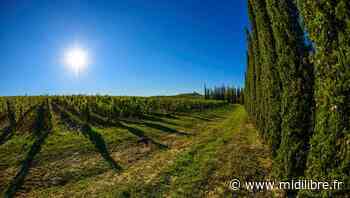 Frontignan : l'exploration photographique de la Toscane d'Alain Marquina - Midi Libre