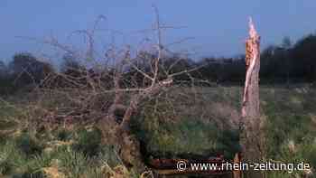 Mysteriöser Blitzeinschlag in KO-Kesselheim, zur Bergpflege - Koblenz & Region - Rhein-Zeitung