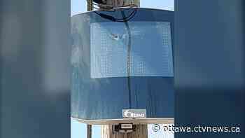 Bullet hole found in speed display board on road in Ottawa's south end - CTV News Ottawa