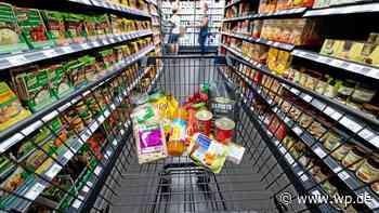 Hamstern Siegen: Was hilft, wenn das Produkt ausverkauft ist - WP News