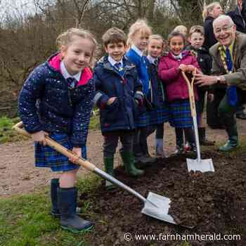 Farnham's new Queen's Platinum Jubilee avenue of trees is on the Wey! | farnhamherald.com - Farnham Herald