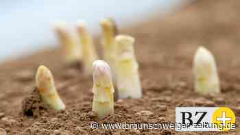 Kammer: An Ostern gibt es ausreichend Spargel