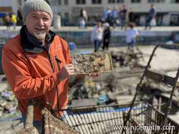 Des plongeurs nettoient les fonds du port de Nice et exposent le fruit de leur pêche - Nice matin