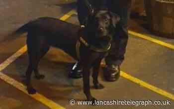 Ribble Valley: Sniffer dog finds two people with drugs in the pub