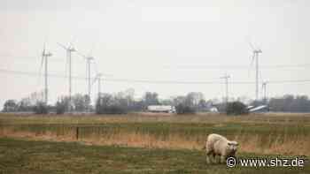 Batteriefabrik in Heide : So kann Itzehoe von Northvolt Mega-Investition profitieren | shz.de - shz.de