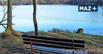 MAZ-Wandertipp: Rundwanderung durch die Prieroser Heide - Märkische Allgemeine Zeitung