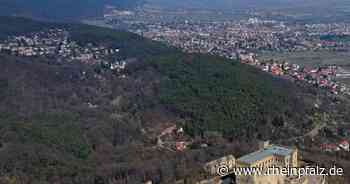 Verkehrsüberwachung: Neu aufstellen und mehr Personal - Kommentar - Rheinpfalz.de