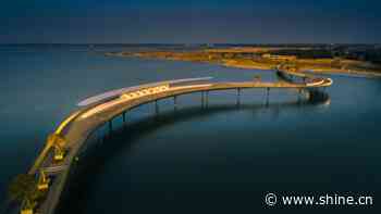 Ambitious blueprint drives digital development in Yangtze River Delta - SHINE