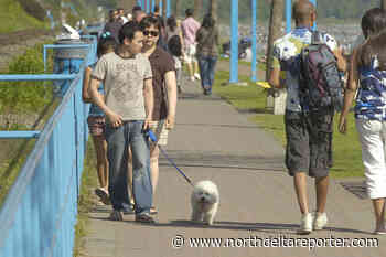 Pups’ promenade passage to be put on ‘paws’ after Thursday - North Delta Reporter