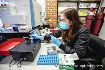 Drug-checking service in Victoria - Delta Optimist