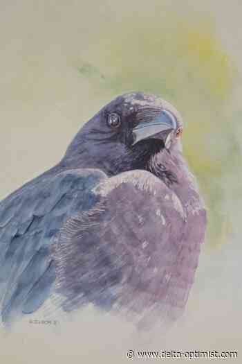 Skies, wings and feathered things - Delta Optimist