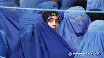 Taliban forbid Afghan women from catching flights without male relatives