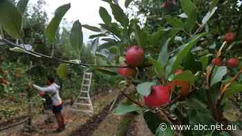 Australia and Vietnam reach agreement on agriculture visa