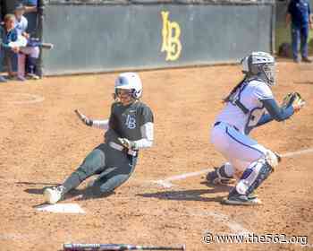 Long Beach State Softball Drops Marathon Finale, Wins Series vs. UC Davis - The562.org