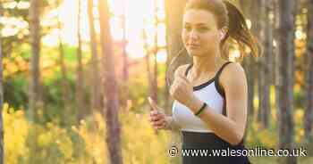 PureGym launches free 20-week marathon training programme - Wales Online