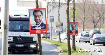 Mindener Grüne wollen an Bäumen keine Wahlplakate sehen - Mindener Tageblatt
