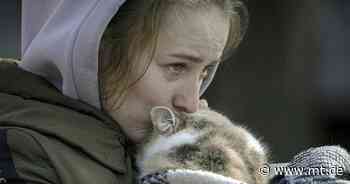 Flüchtlingsschicksale: Wenn das eigene Haustier nicht mit ins Zimmer darf - Mindener Tageblatt