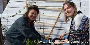 Hildesheim: Wie der Ottoplatz ein neues Gesicht bekommt - www.hildesheimer-allgemeine.de